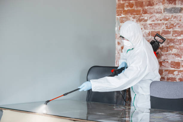 Biohazard Mold Removal in Bloomington, TX